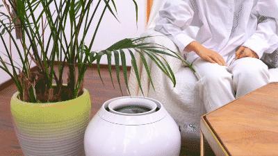 长得像饮水机的加湿器,像坛子的加湿器