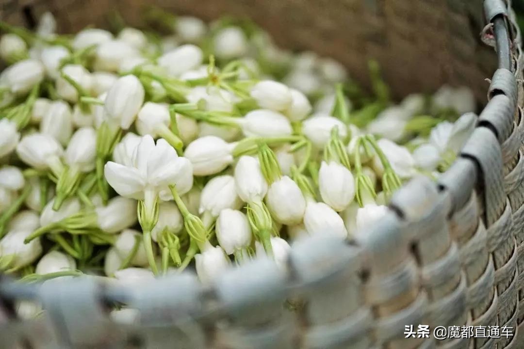 2019，在最好的时间，挑最好的地点，吃最好的食物！