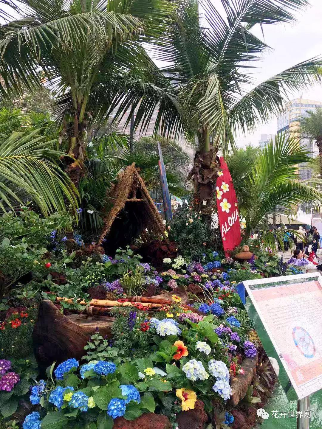 香港花卉艺术展,共赴盛会活动