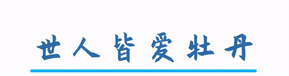 中国的国花是哪一种,中国的国花是什么时间定的