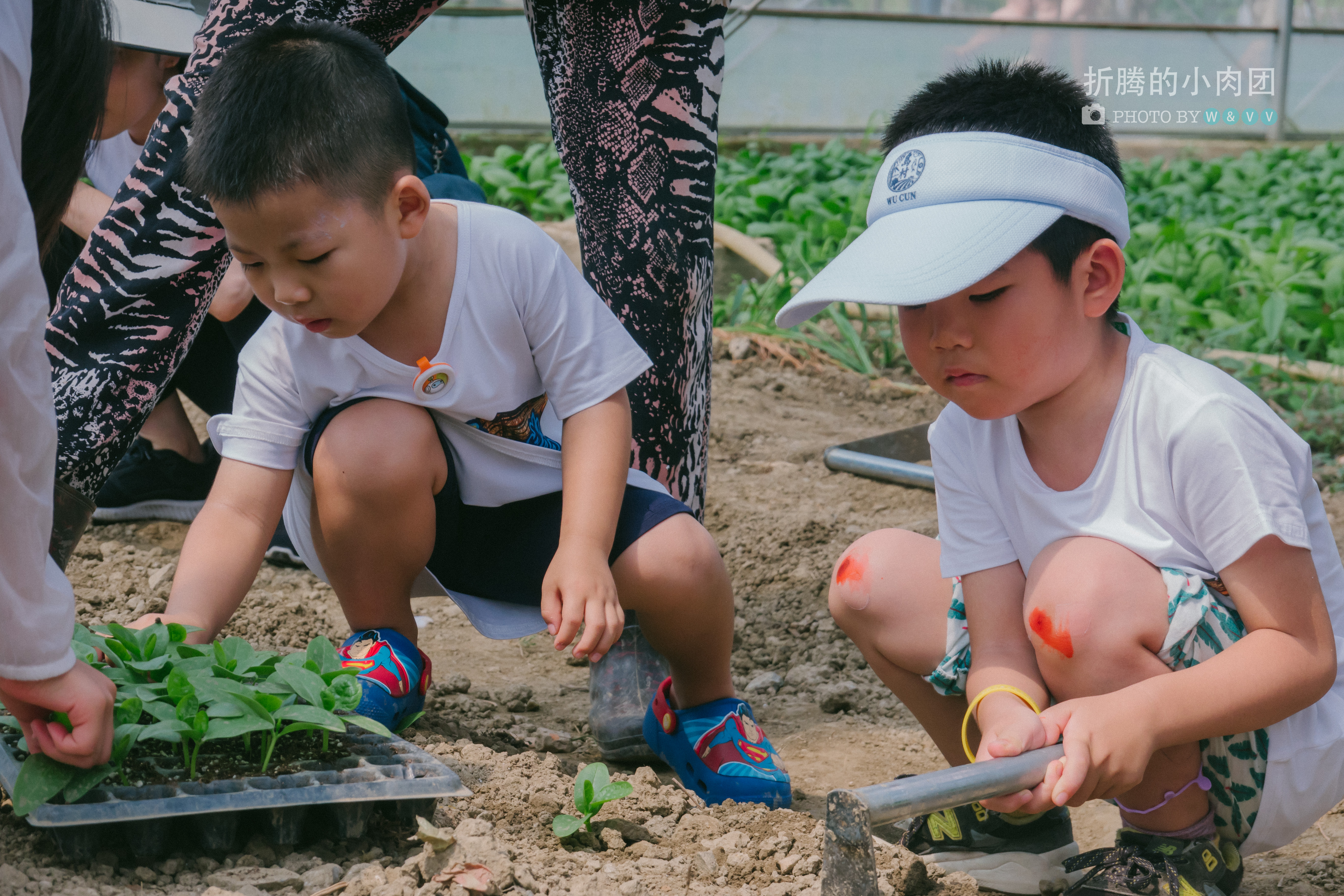 乌村亲子游全攻略,乌村亲子游攻略