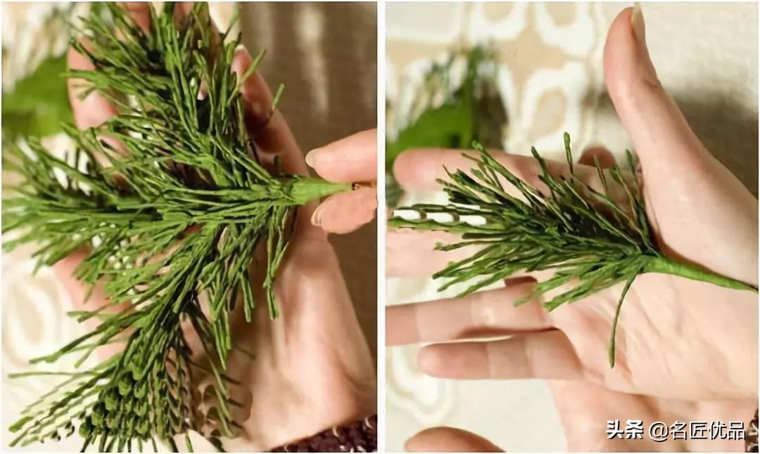 松塔创意手工实用又好看,松塔创意手工动物