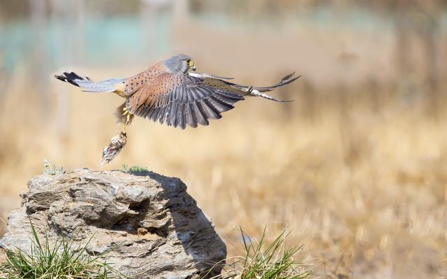 它说吉他前奏,她说钢琴伴奏和弦