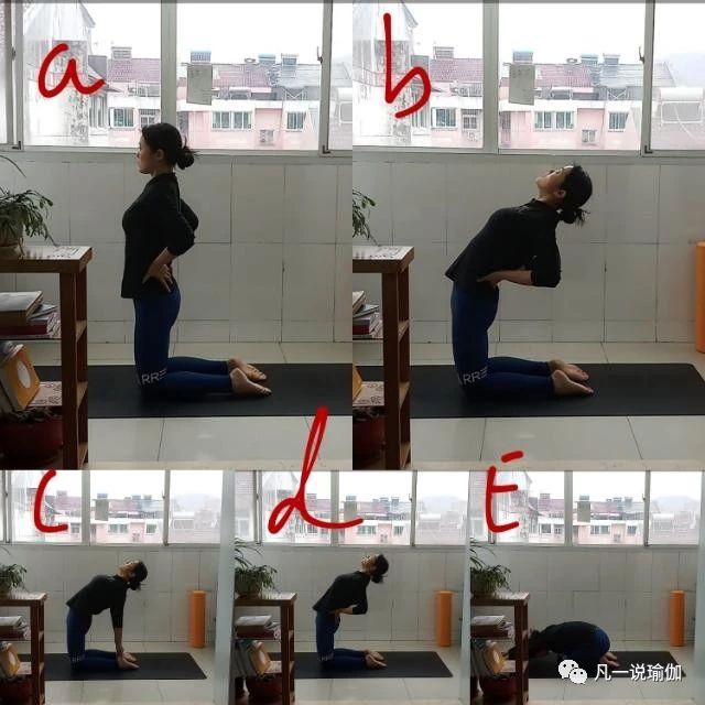 瑜伽轮式怎么做不腰痛,瑜伽轮式后腰疼