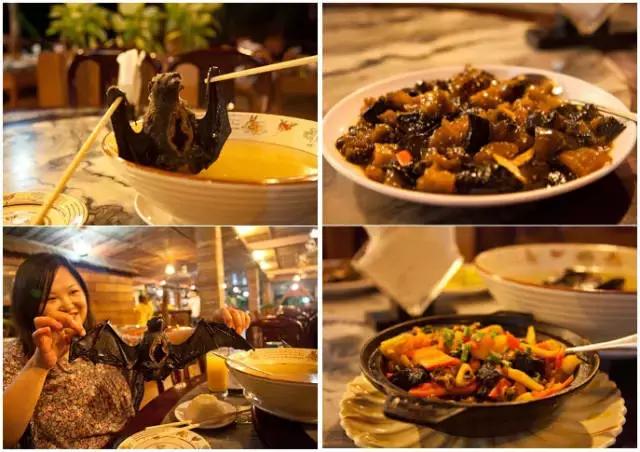 帕劳旅游攻略自由行路线推荐,帕劳旅游攻略全过程