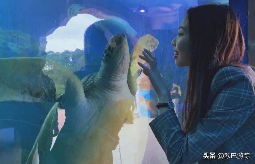 广东海岛打卡网红地,广东小众海岛打卡