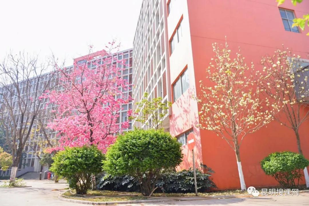 昆明市第十中学官网,昆明市第十中学求实校区2019级