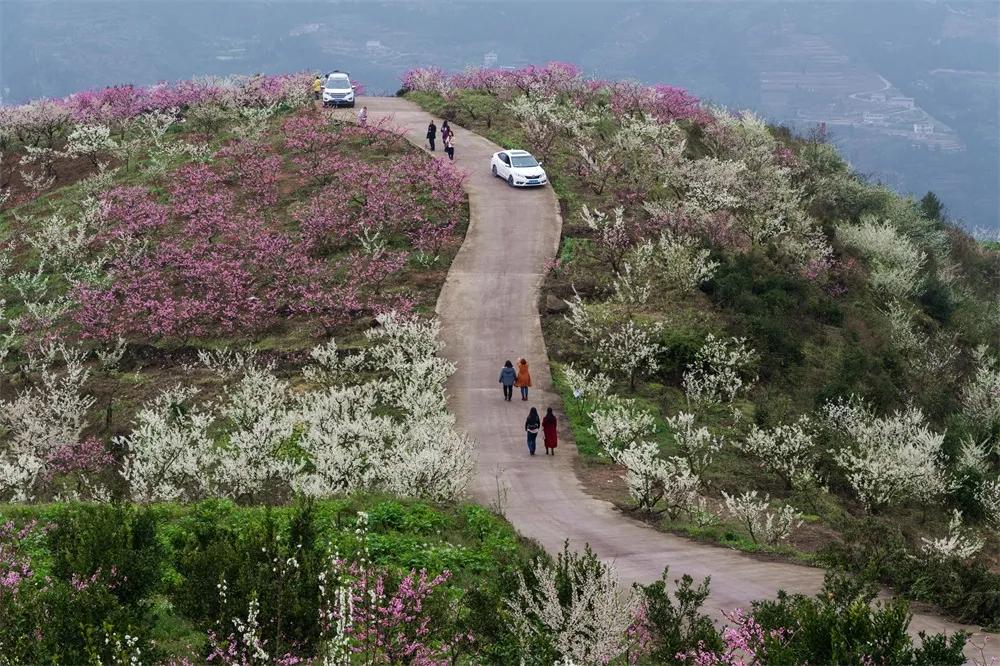 图赏革命圣地,图赏图片