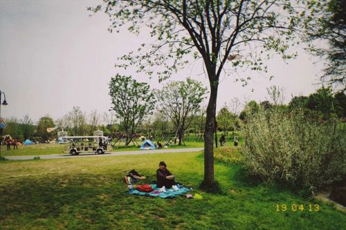 “我还没见过有那个城市的春天，能比武汉还美！”