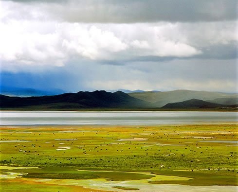 山南措美县有几个乡,介绍西藏山南措美