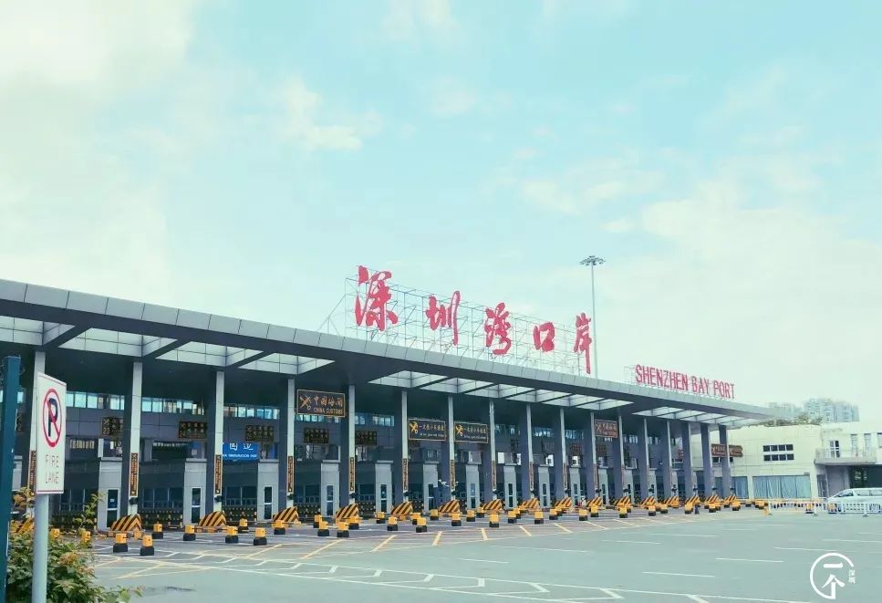 测评深圳湾,我直接被房租劝退