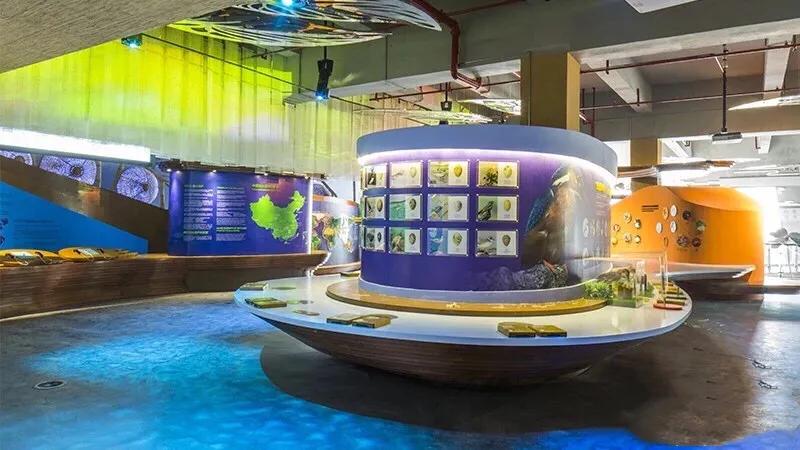 长沙洋湖读哪个学校,长沙洋湖学武术