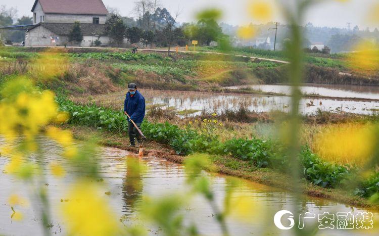人勤春来早全力备春耕,人勤春来早农事忙春耕备耕
