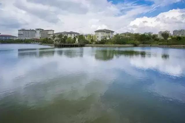 宁波踏青免费好去处,宁波踏青赏花最佳地