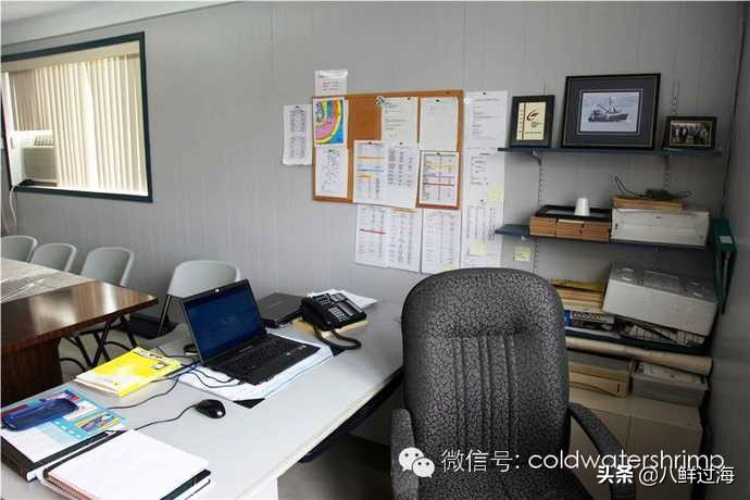 盐田生虾仁工厂,去壳北极甜虾工厂