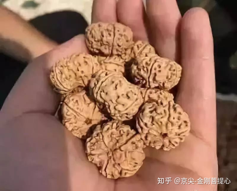 尼泊尔蜂窝菩提大金刚怎么盘 (尼泊尔大金刚怎么盘玩保养)