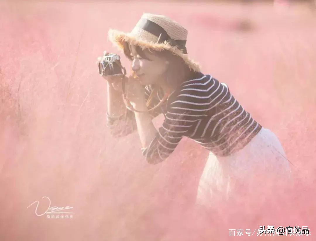 河源市连平县忠信镇大湖花海,太湖花海主题乐园