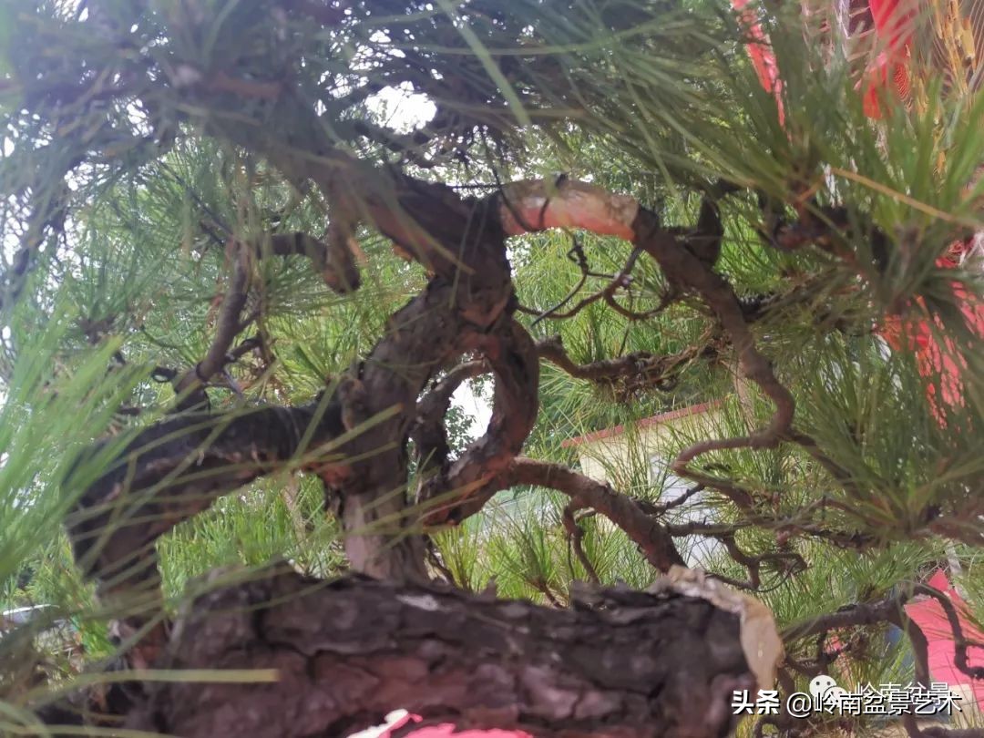 绿色金融业务发展好的银行,绿色银行的前景