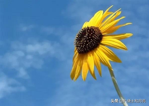 经济危机口红销量增加,口红销量与经济的关系