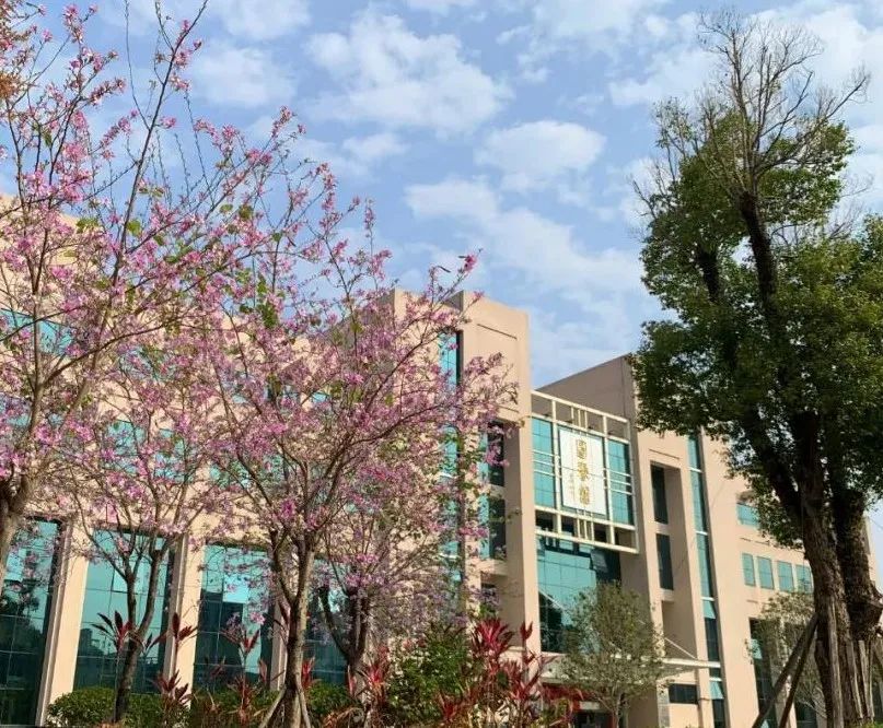 惠州一知名景区恢复开放,惠州这些场所有序恢复开放