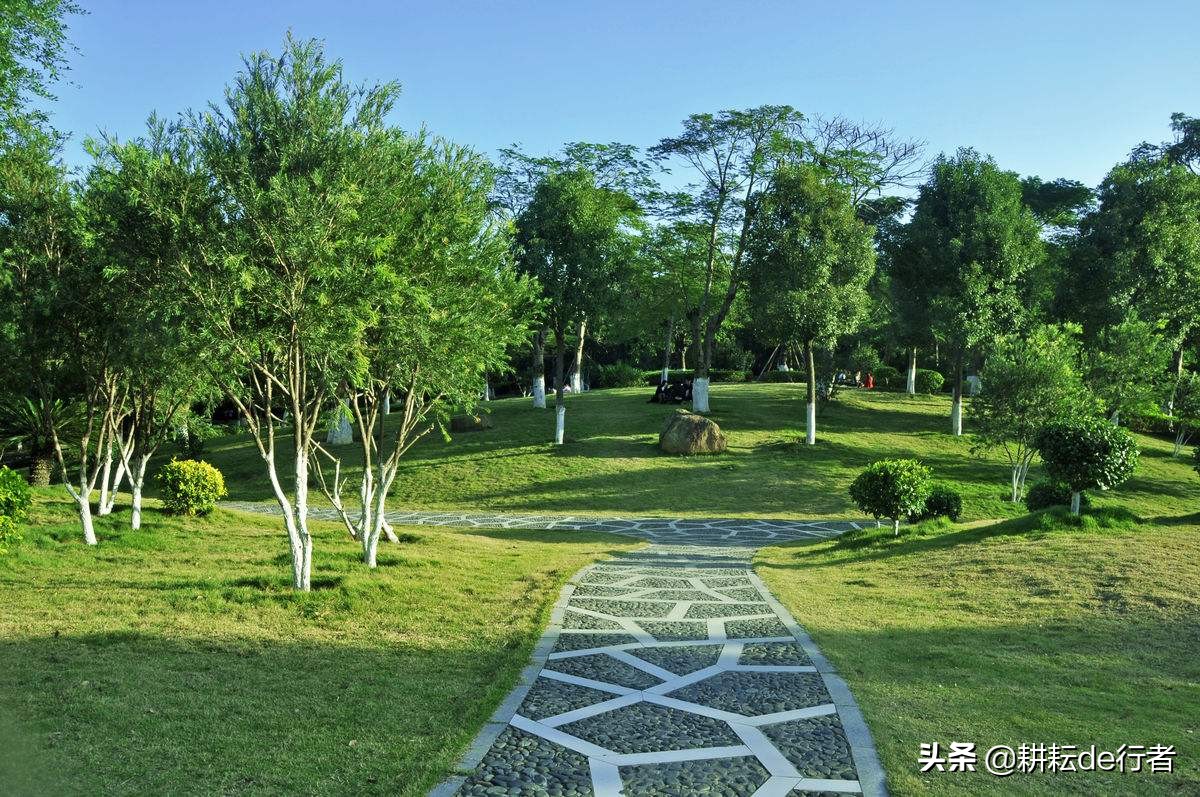 常见园林草坪病虫害杀菌剂有哪些,园林植物常见病虫害ppt