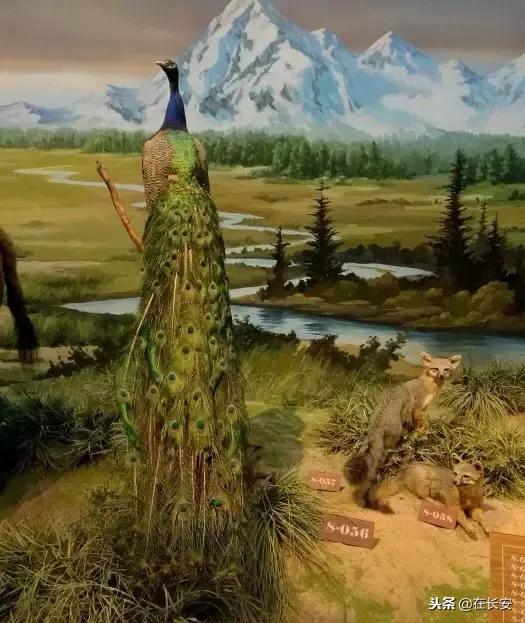 西安周边亲子游玩好去处推荐,西安儿童游乐去处推荐