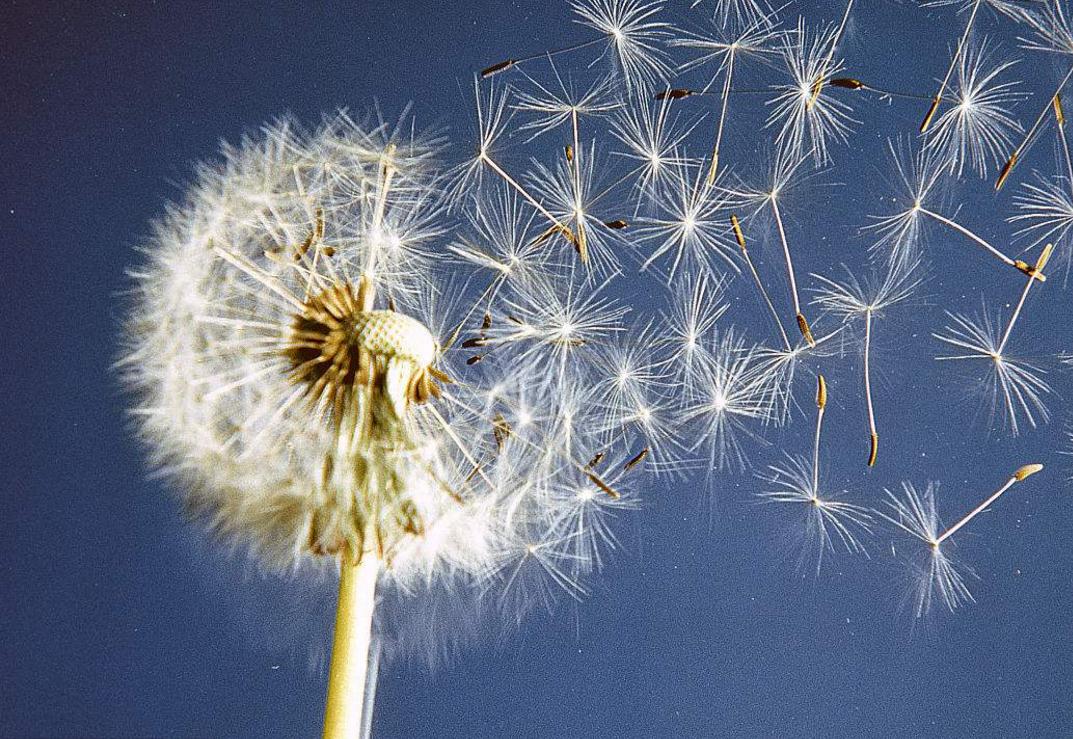 对待聪明人的办法,面对阴险狡猾的人该怎么回避他