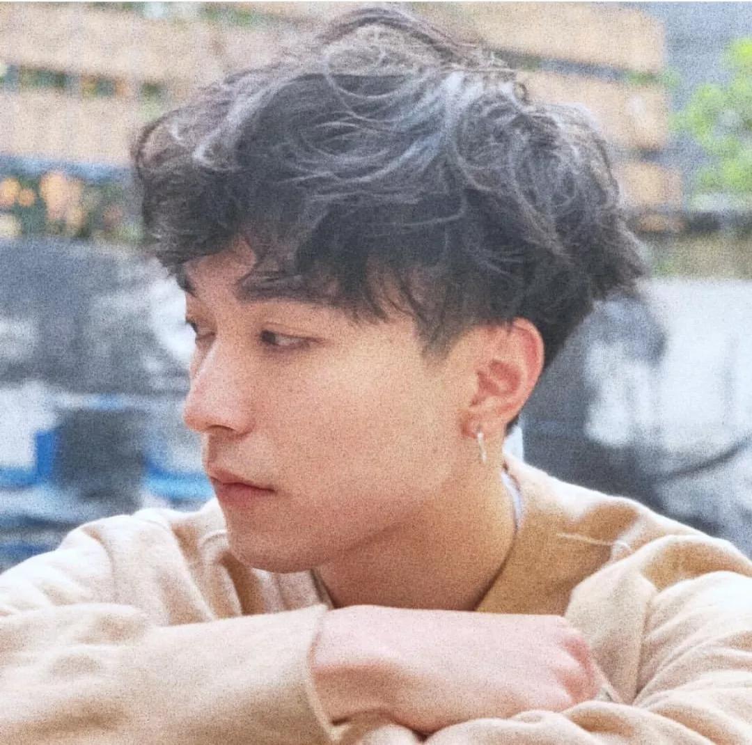 轻熟风小狼狗发型,小狼狗发型短发方脸