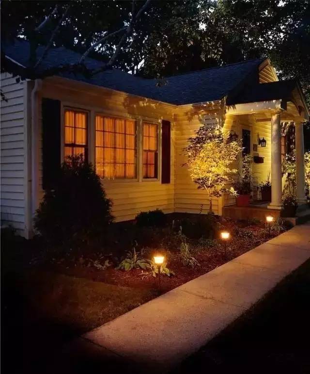 北方庭院室外耐寒植物,庭院驱蚊效果最好植物