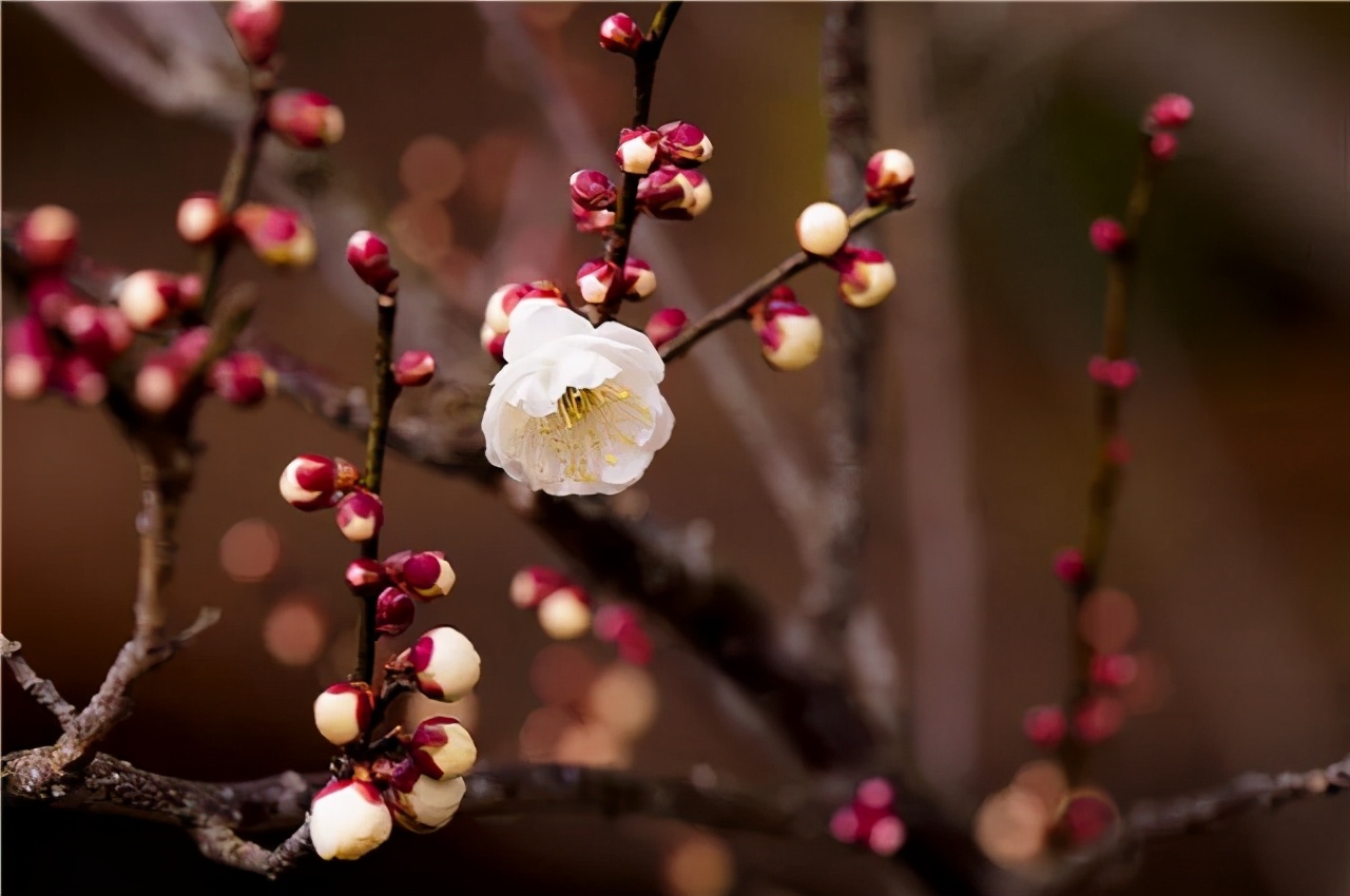 苏州西山农家乐旅游网官网,苏州西山农家乐民宿游