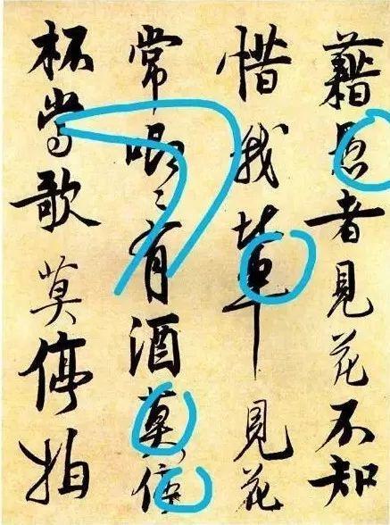 先把基础知识学好,先把基础练好再练技术动作