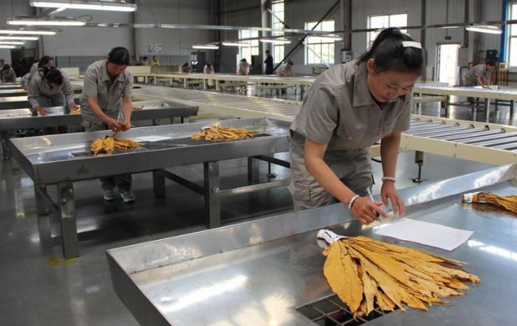 中国烟草青睐的大学专业,进烟草最好的专业