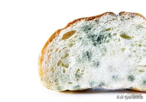 面过夏捂了还能吃吗,面发完包完不蒸还会发吗