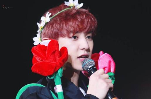 金珉锡寸头,朴灿烈金珉锡合照2017