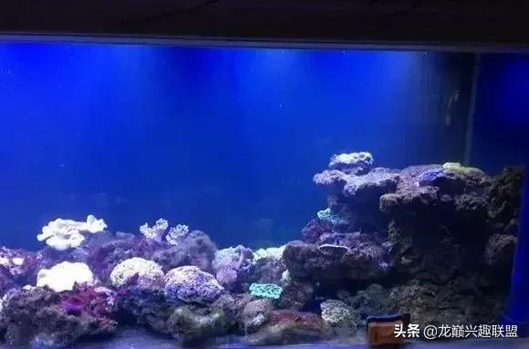 楸肩几濡傛璞皵,楂樼楸肩几椴ㄩ奔