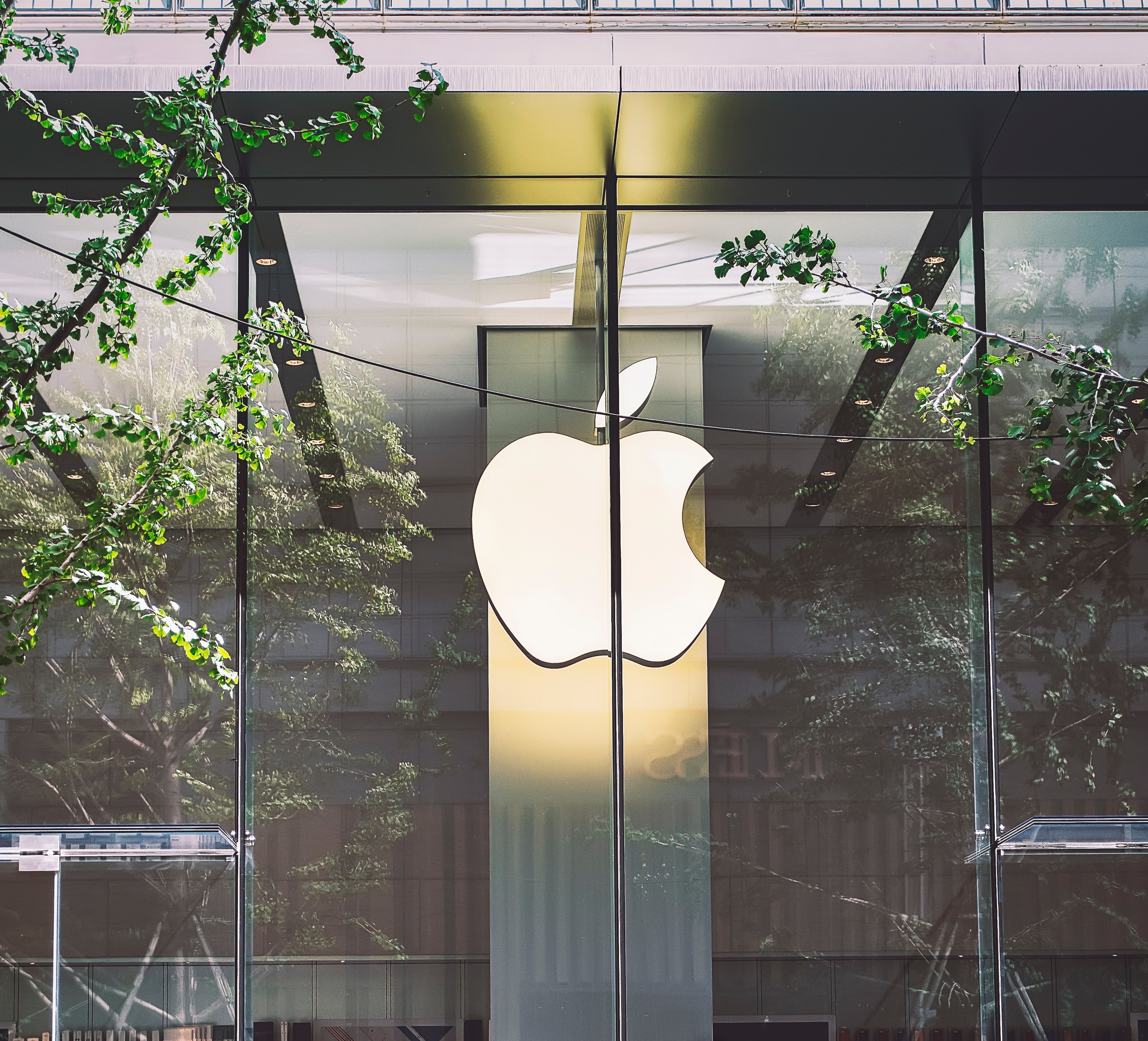 果粉都有哪些习惯,果粉养成