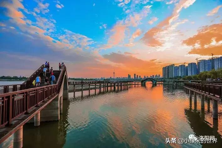 河南洛阳发布最新通知,洛阳牡丹花会向全世界发出邀请