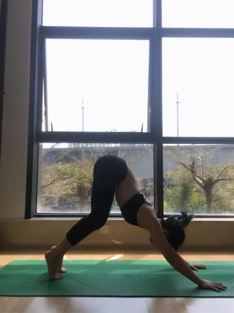 前屈组合练习,立位体前屈动作示范