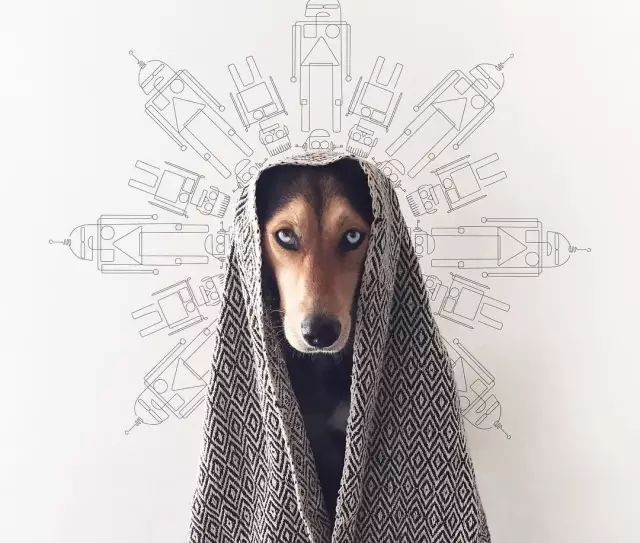 画logo有几种画法,一笔就能画出来logo