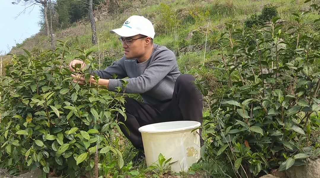 江苏电商创业,江苏射阳电商新模式