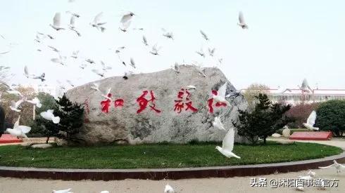 南部新城vs河西,沭阳东城好还是南城好