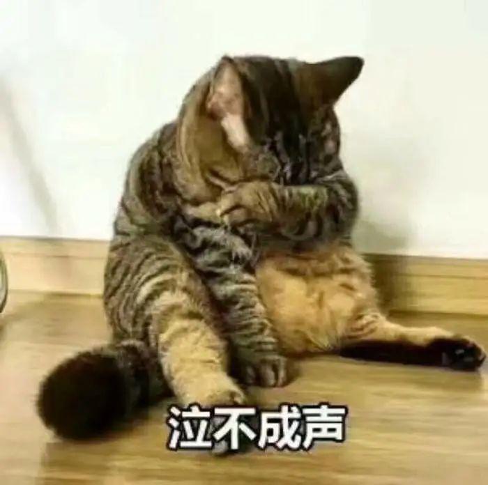 你老公会偷用你的化妆品吗?网友的回复炸天了!哈哈哈