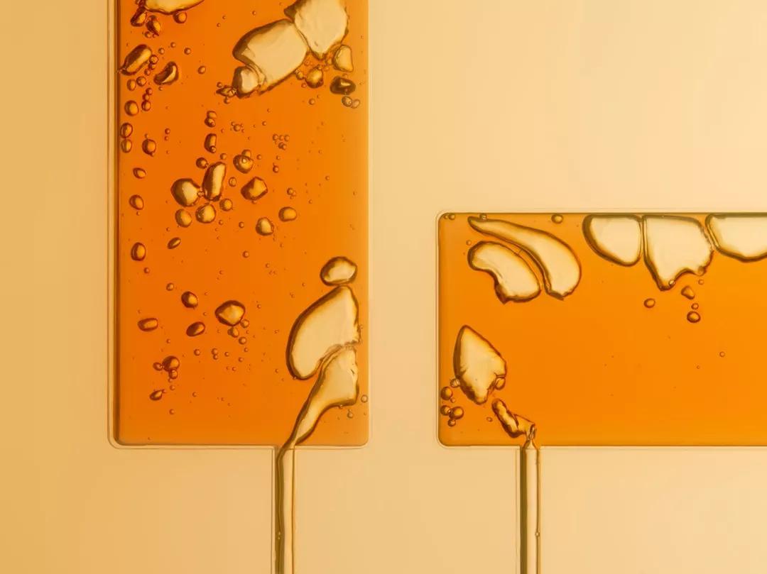 fendi秀场许愿池,fendi的设计灵感