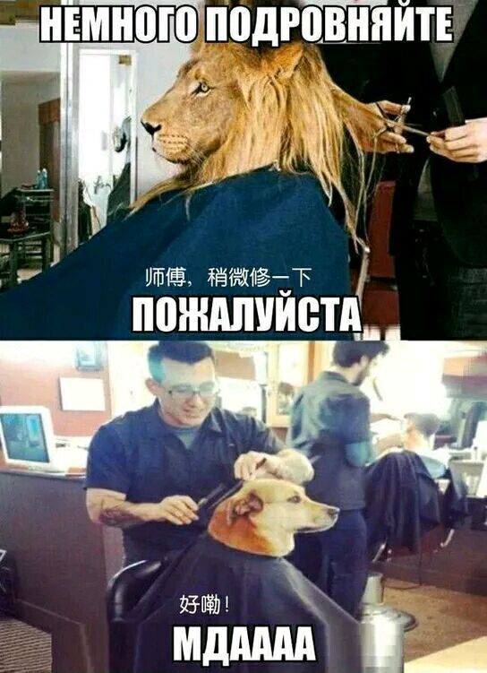 有那么一天，我对同学说：我没钱了，你纸钱借我用一下呗