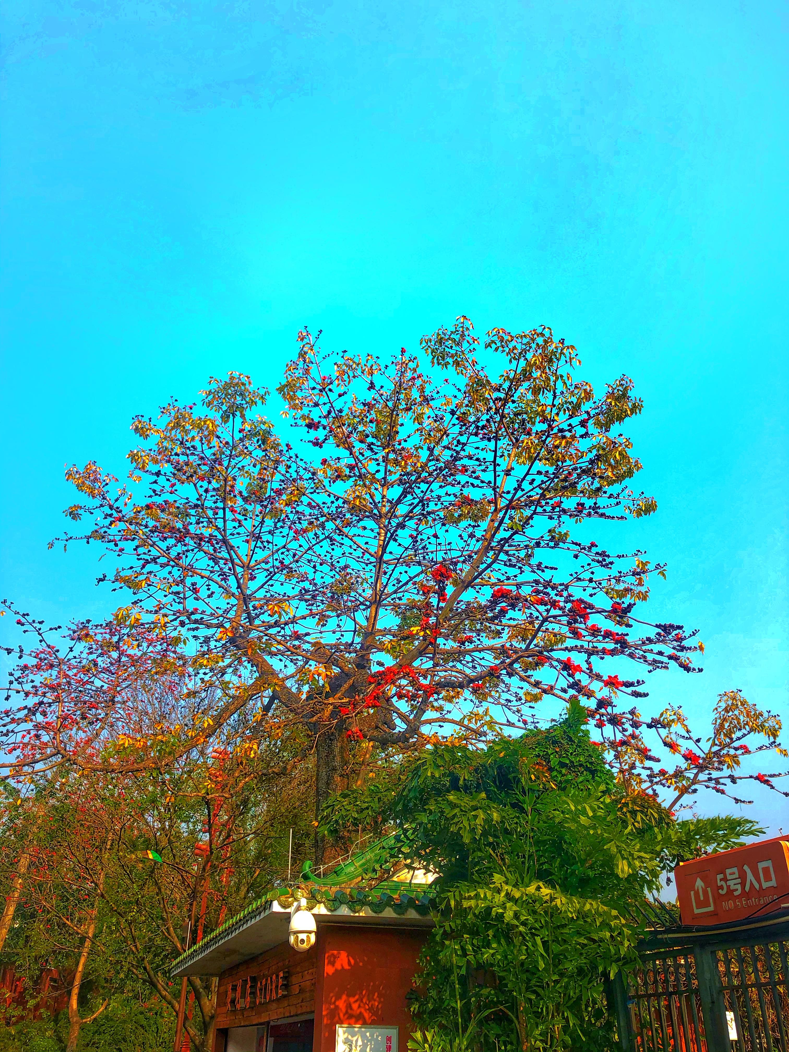 久违的越秀公园,越秀公园蓝天白云