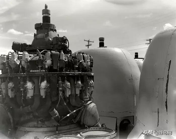 已过期的胶卷,贪便宜买相机