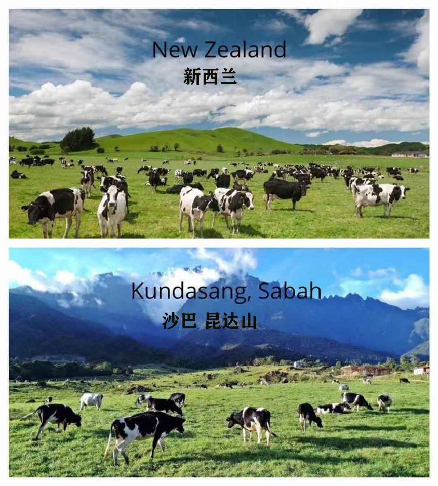 沙巴旅游低价,最便宜的海岛沙巴