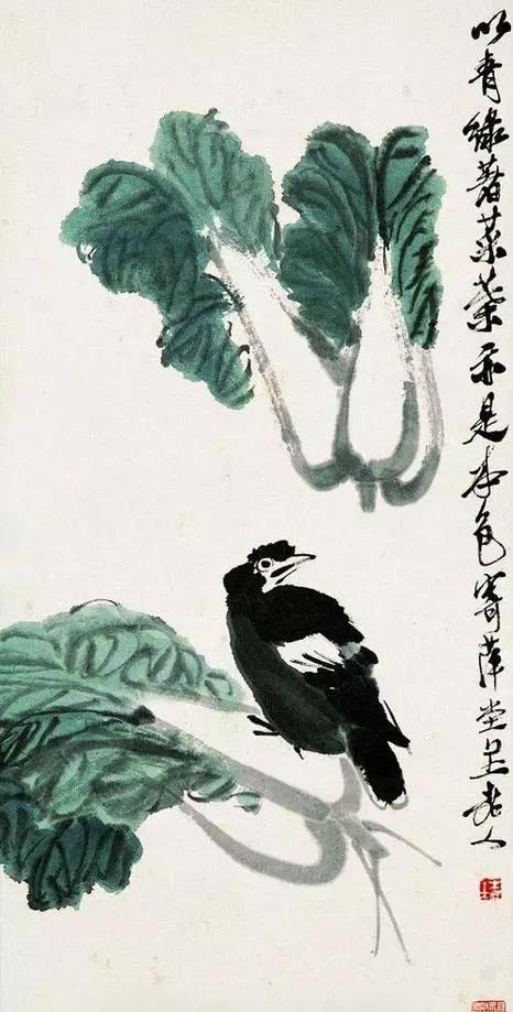 画白菜技法,3d白菜画