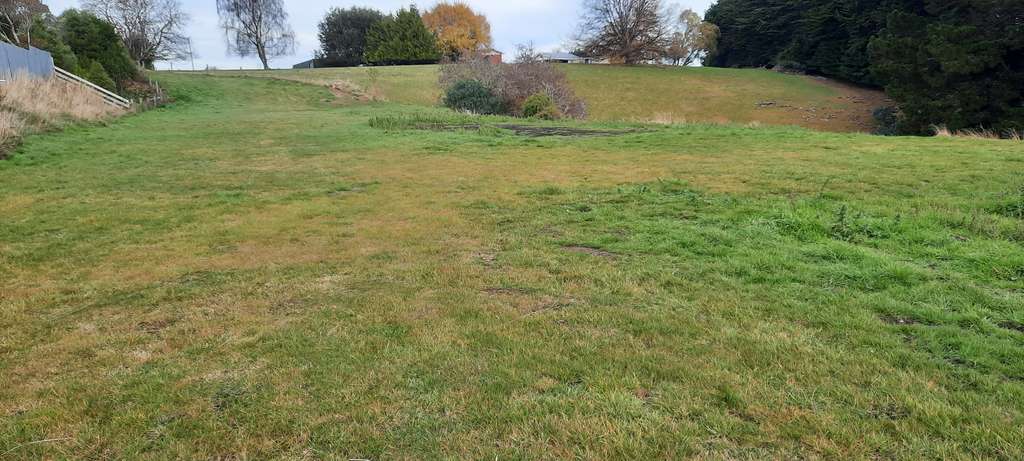 100万人民币在新西兰,100万在新西兰能买到什么车