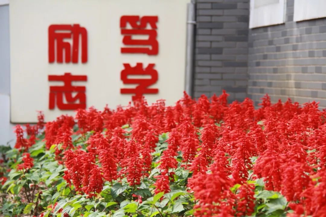 【秋色】一起逛青浦的校园,在书香中邂逅最美的秋